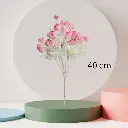 Untitled-5 (1).webp
