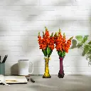 Untitled-6 (34).webp