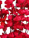 Picsart_24-03-15_21-11-17-728.webp