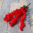 IMG_1332.webp