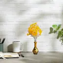 Untitled-6 (32).webp