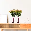 Untitled-6 (29).webp