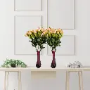 Untitled-6 (17).webp