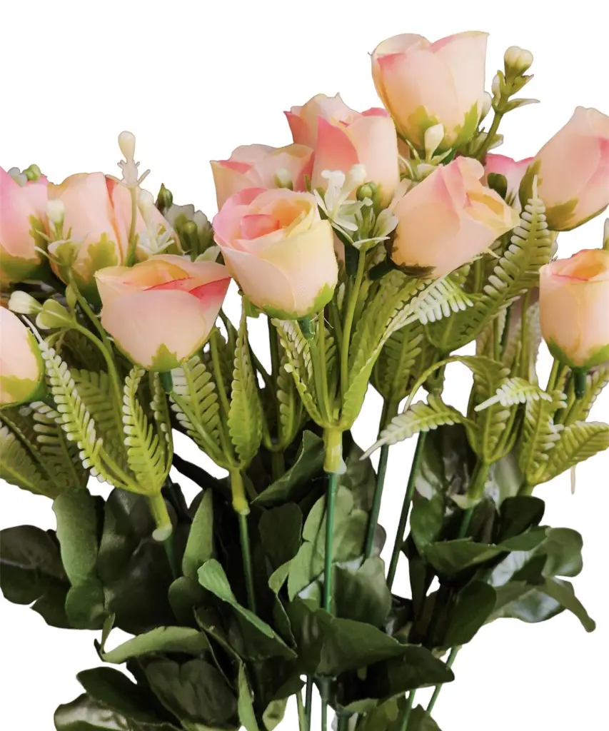 Photoroom_20240710_182206.webp