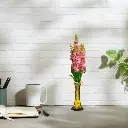 Untitled-6 (10).webp