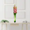 Untitled-6 (19).webp