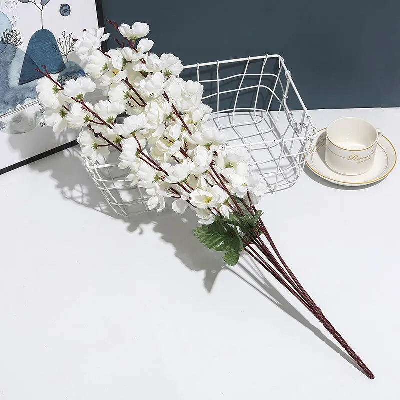 IMG_1327.webp
