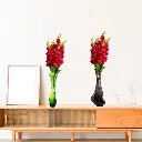 Untitled-6 (28).webp