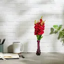 Untitled-6 (11).webp