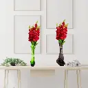 Untitled-6 (21).webp