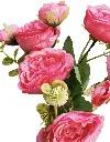 Photoroom_20240614_163647.webp