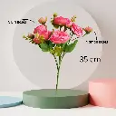 Untitled-5 (1).webp