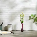 Untitled-6 (12).webp