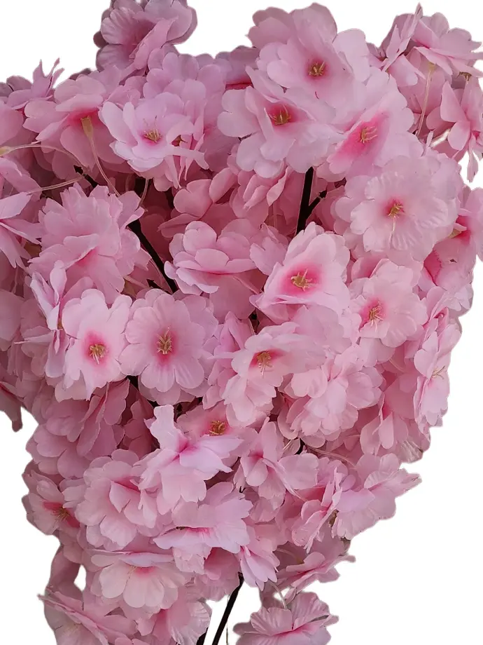 IMG_1332.webp