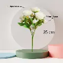 Untitled-5.webp
