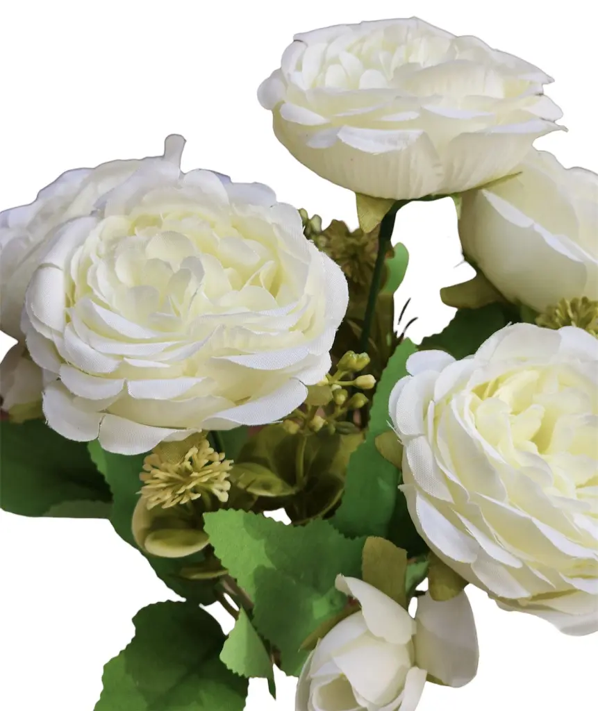 Photoroom_20240614_162038.webp
