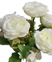 Photoroom_20240614_162038.webp
