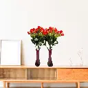 Untitled-6 (31).webp