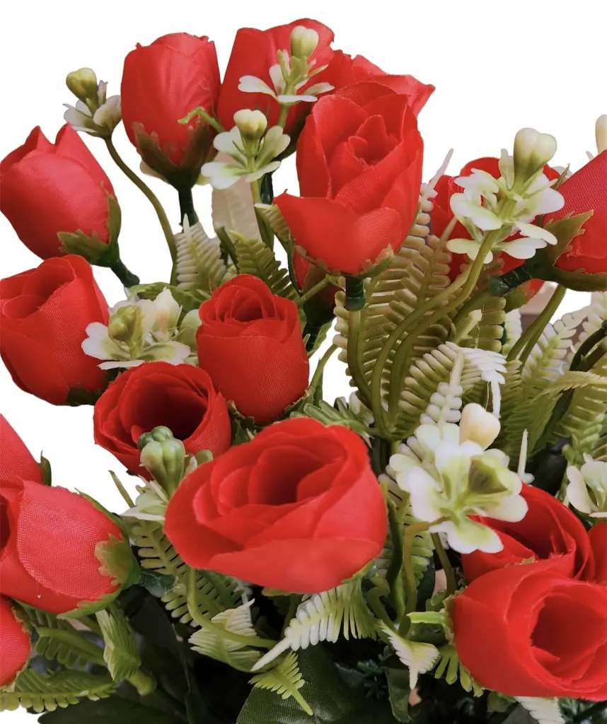 Photoroom_20240712_163033.webp