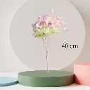 Untitled-5.webp