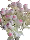 Photoroom_20240615_162200.webp