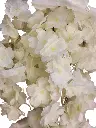 Picsart_24-03-16_00-15-14-167.webp
