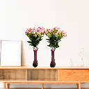 Untitled-6 (28).webp