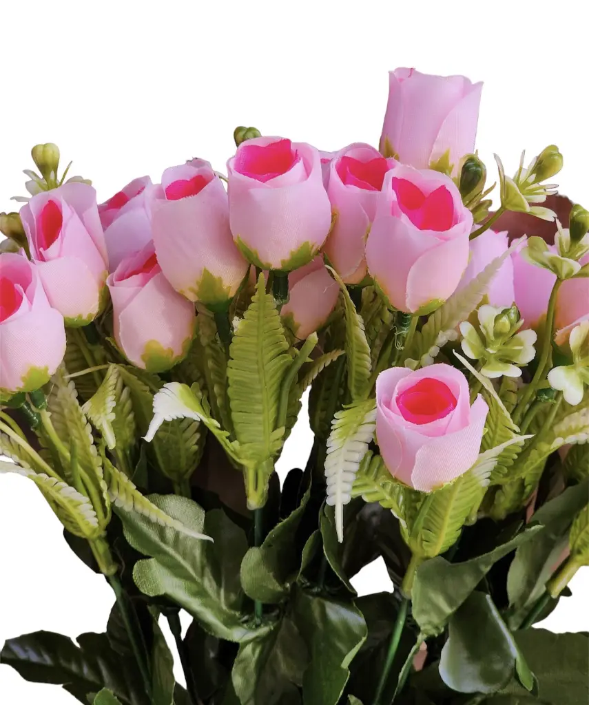 Photoroom_20240712_162436.webp