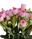 Photoroom_20240712_162436.webp