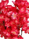 Picsart_24-03-16_00-14-02-929.webp