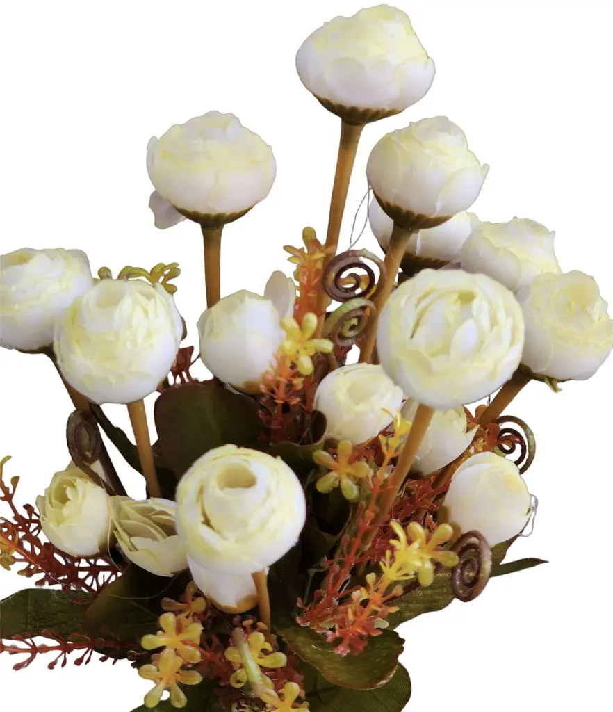 Photoroom_20240614_155902.webp