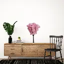 Untitled-37 (3).webp