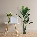 Untitled-27 (3).webp