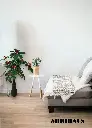 Photoroom_20240507_171720.webp