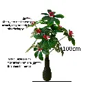 Untitled-76 (2).webp