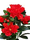 Picsart_24-03-23_18-11-52-292.webp