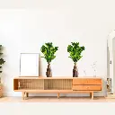 Untitled-24 (1).webp