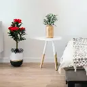 Untitled-21 (9).webp