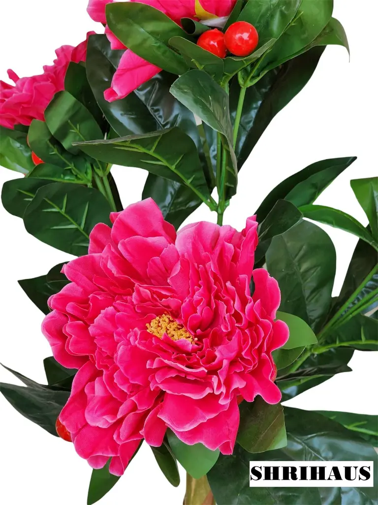 Photoroom_20240516_172320.webp
