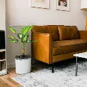 Untitled-20 (16).webp