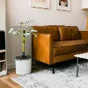 Untitled-20 (15).webp