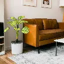 Untitled-20 (14).webp