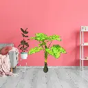 Untitled-21 (5).webp