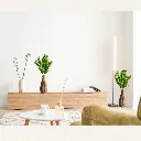 Untitled-25 (3).webp