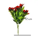 Untitled-8 (5).webp