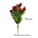 Untitled-7 (7).webp
