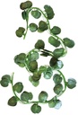 SHRIHAUS Fake Vines, Artificial Hanging Green