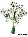 SHRIHAUS Artificial 12 White Leaves Tree