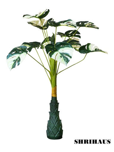 SHRIHAUS Artificial 12 White Monstera Leaves Tree